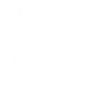 Ocorrências Detidas